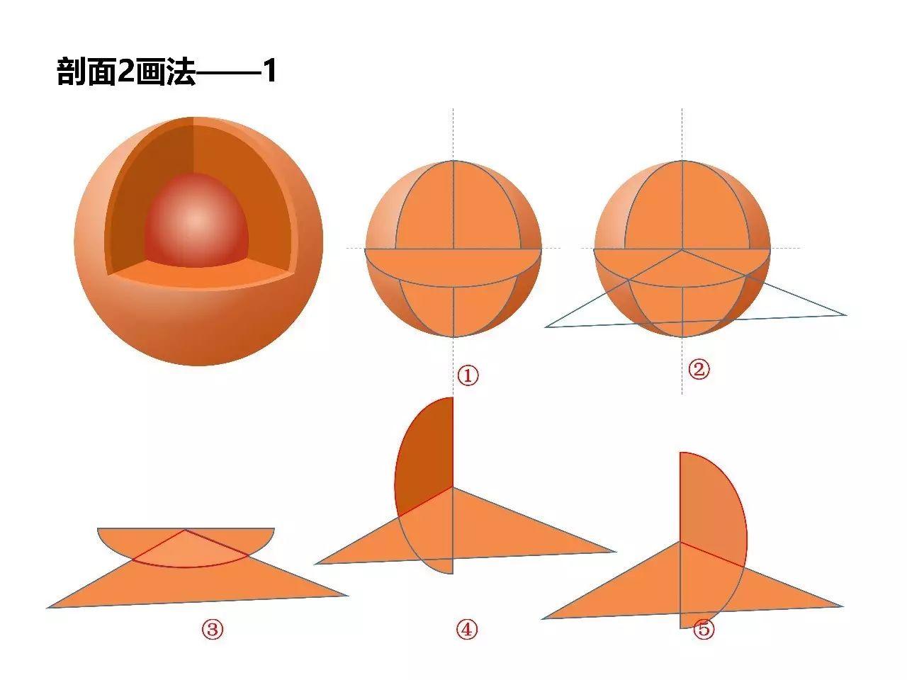 ppt科研作图76细胞核及球体剖面