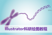 如何使用AI绘制可以交叉的多肽链?-如图所示|张老湿科研绘图