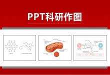 基因结构的画法-如图所示|张老湿科研绘图