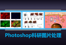 利用ps分分钟校正图片的偏色现象-如图所示|张老湿科研绘图