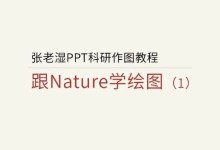 PPT越界作战!PPT绘制染色质环-如图所示|张老湿科研绘图